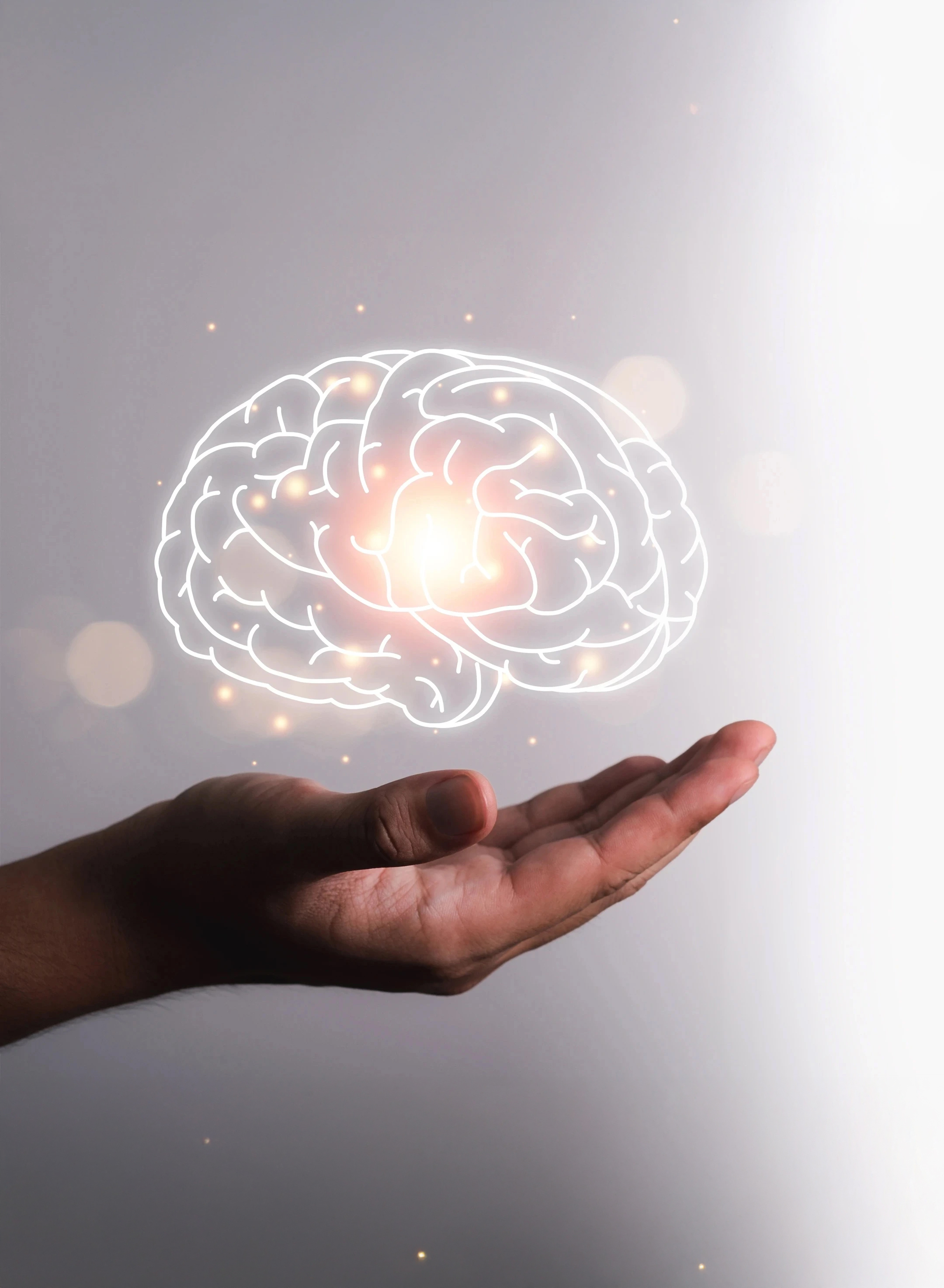 il cervello più grande